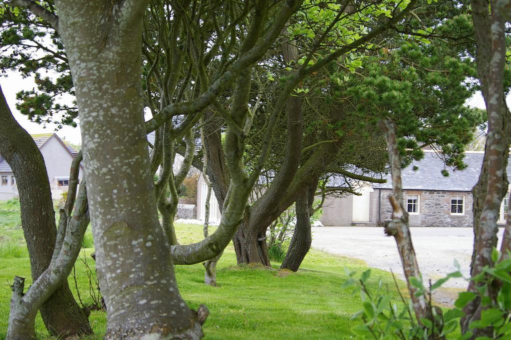 Udny Arms Hotel Newburgh  ภายนอก รูปภาพ
